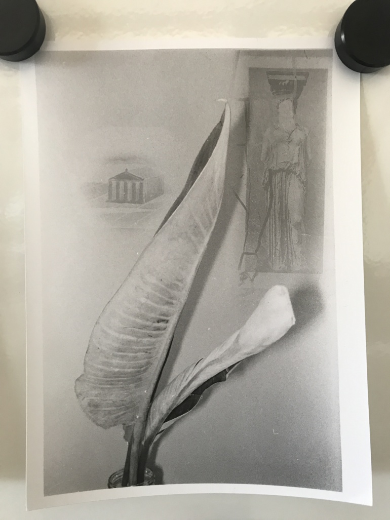 Gallery item