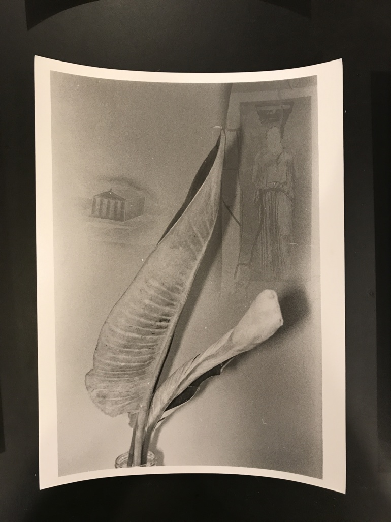 Gallery item
