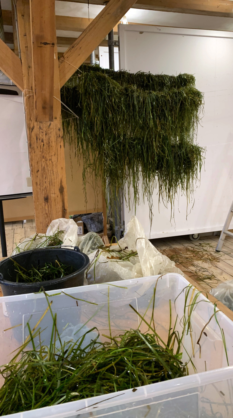 Gallery item