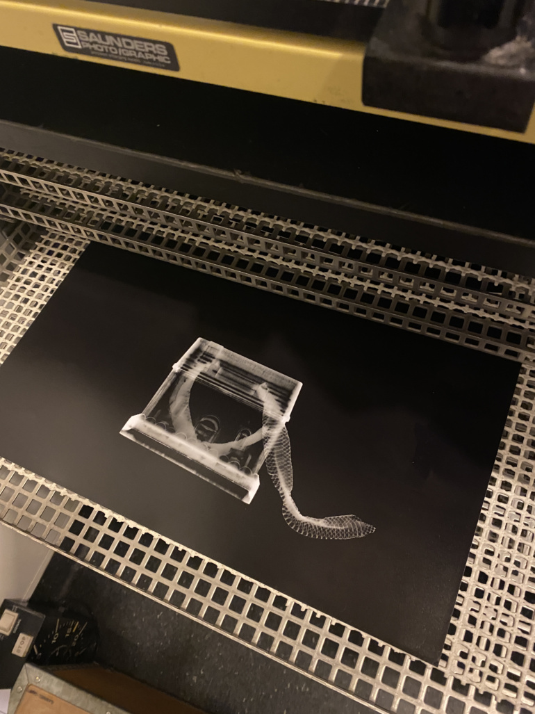 Gallery item