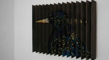The Epic Return of the European Starling