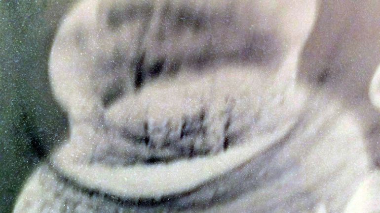 Gallery item
