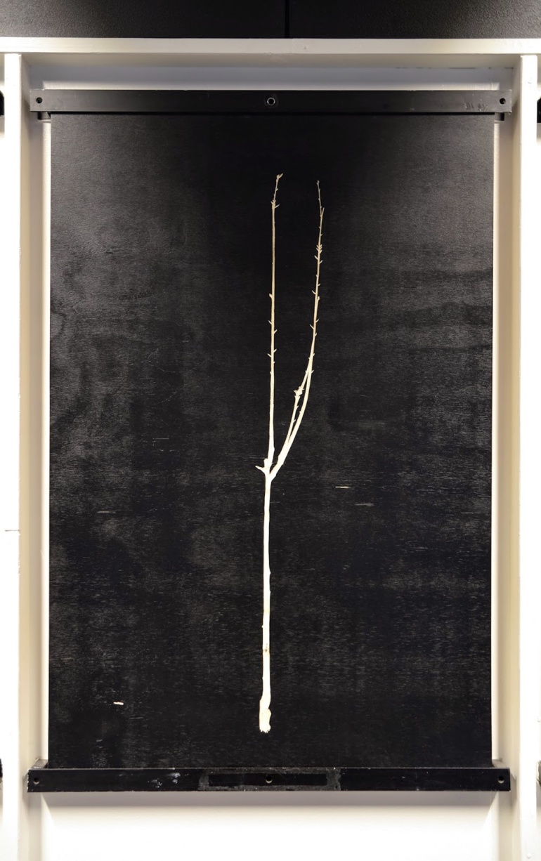Gallery item