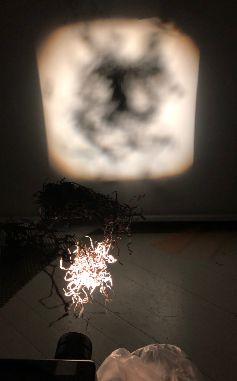 Gallery item