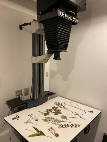 Gallery item