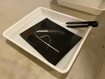 Gallery item