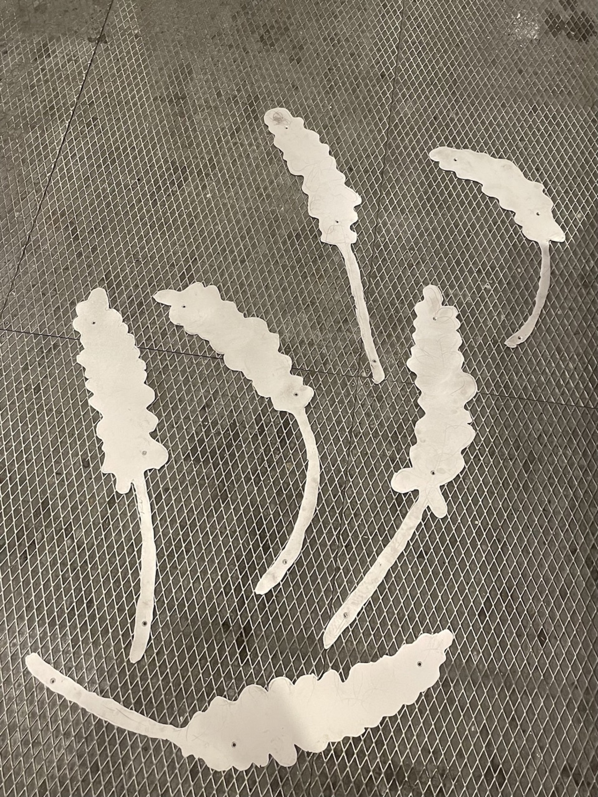 Signe Rohardt Lund: Vaskeribilleder (Dirty Laundry)
