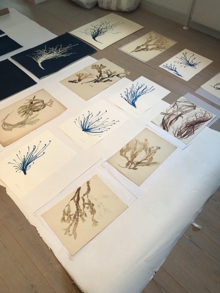 Gallery item