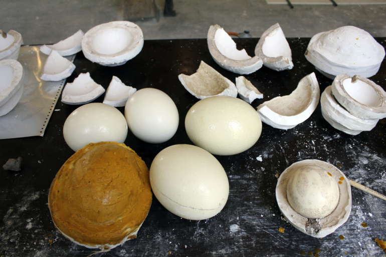 Gallery item