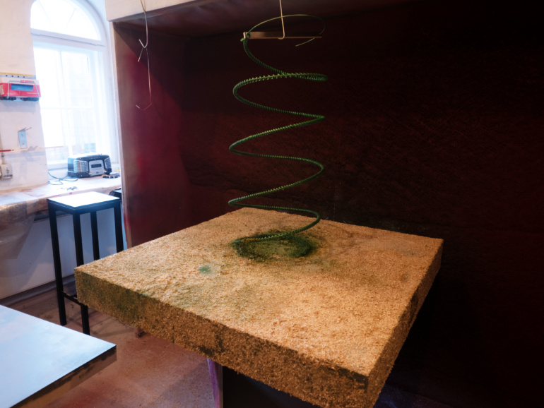 Gallery item