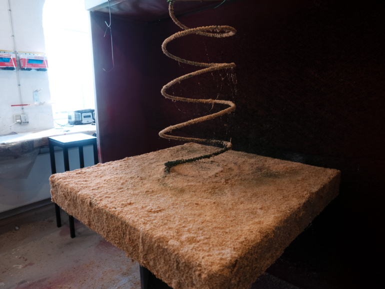 Gallery item