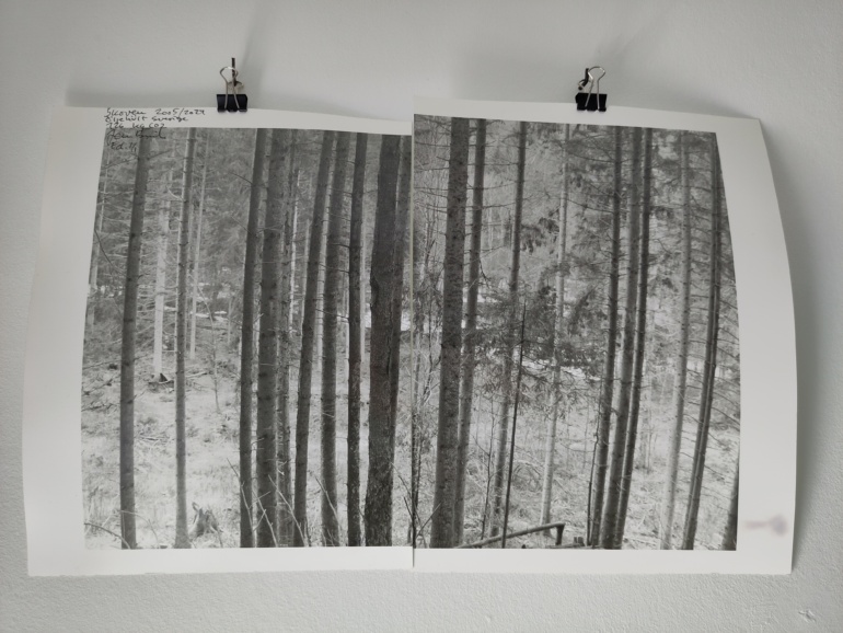 Gallery item