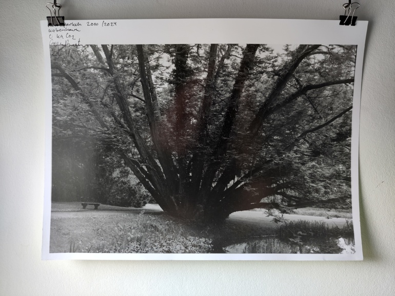 Gallery item