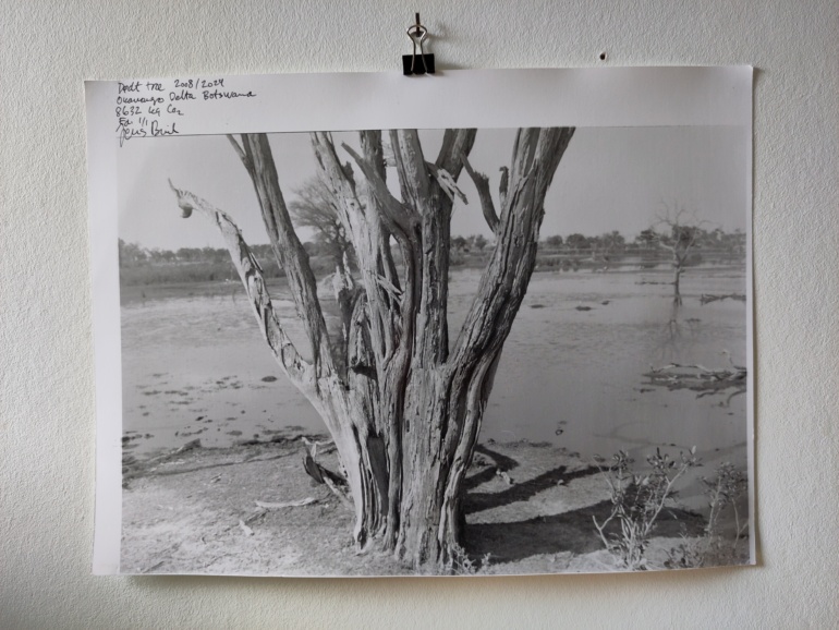 Gallery item