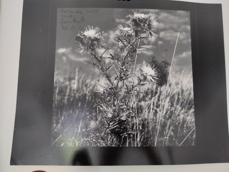 Gallery item