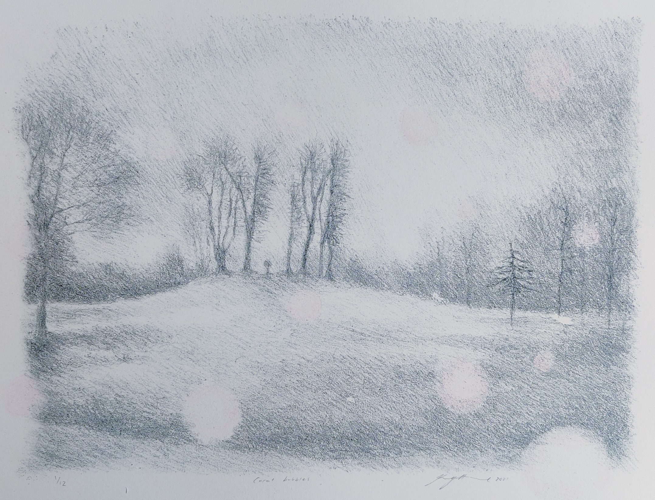 Kirrily Hammond: Lithographic Immersion