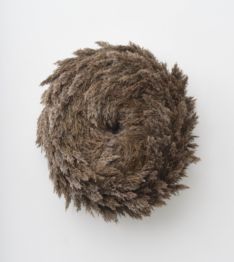 Gallery item