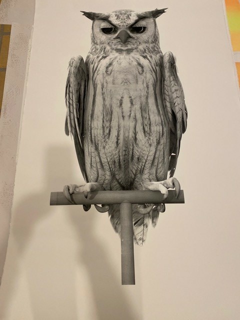 Ann Lislegaard og Louise Hold Sidenius: Oracles, Owls… Some Animals Never Sleep