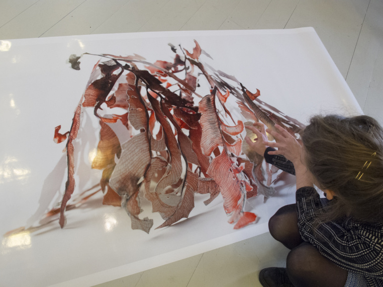 Gallery item
