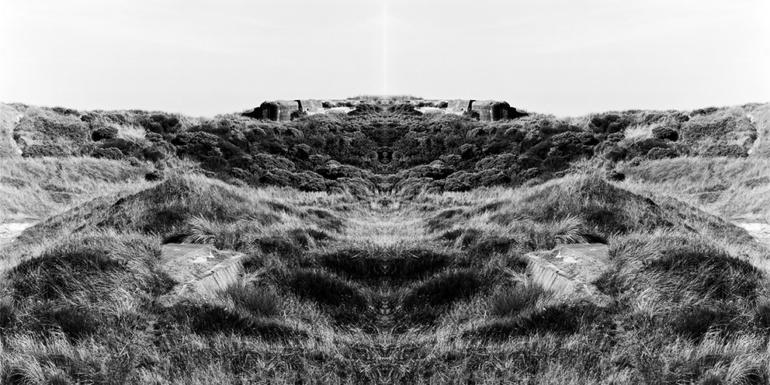Gallery item