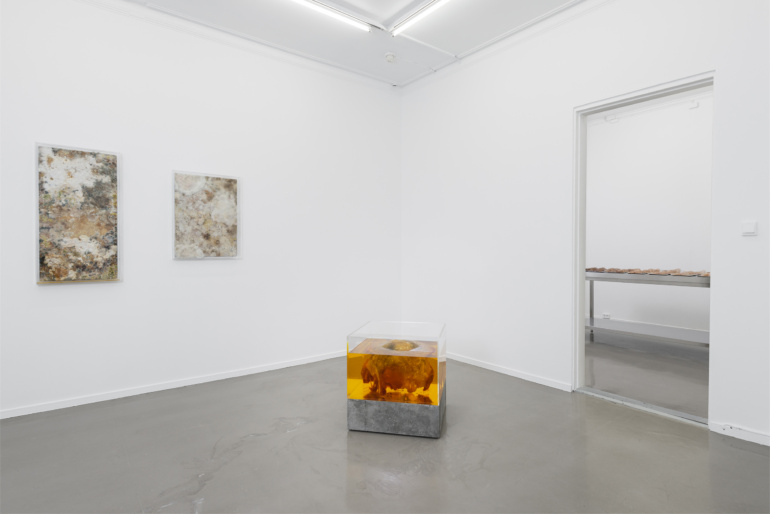 Gallery item