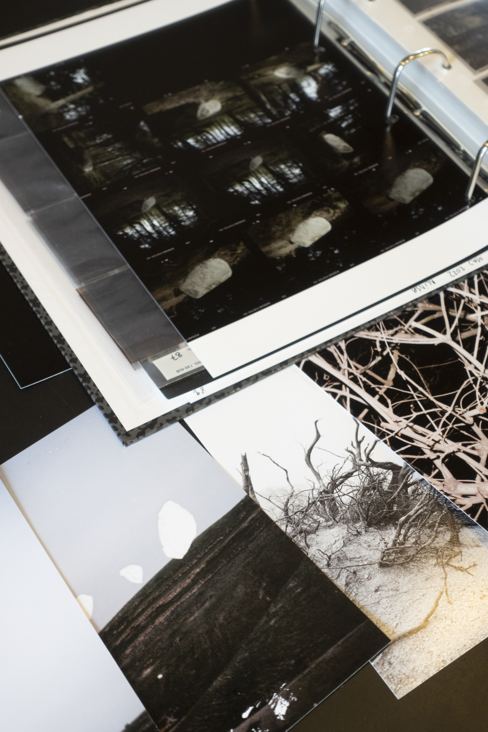 Lotte Fløe Christensen: Frost Heave