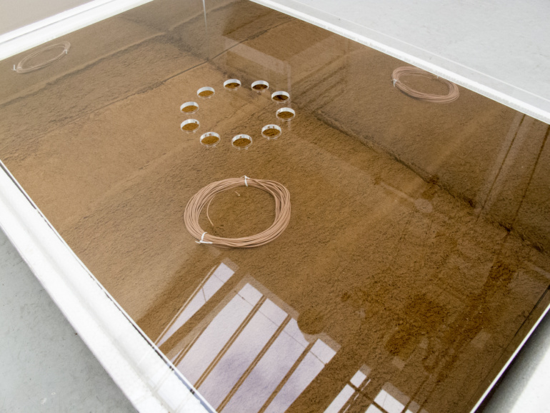 Gallery item