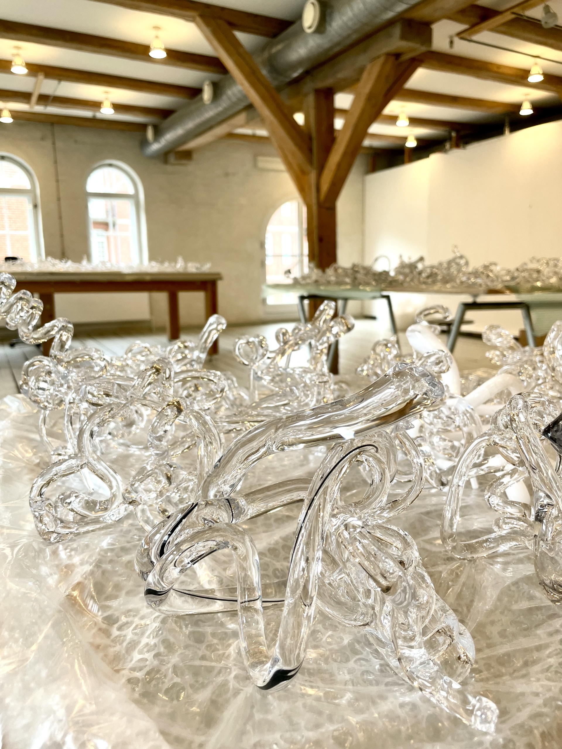 Stine Bidstrup: Light Entanglements