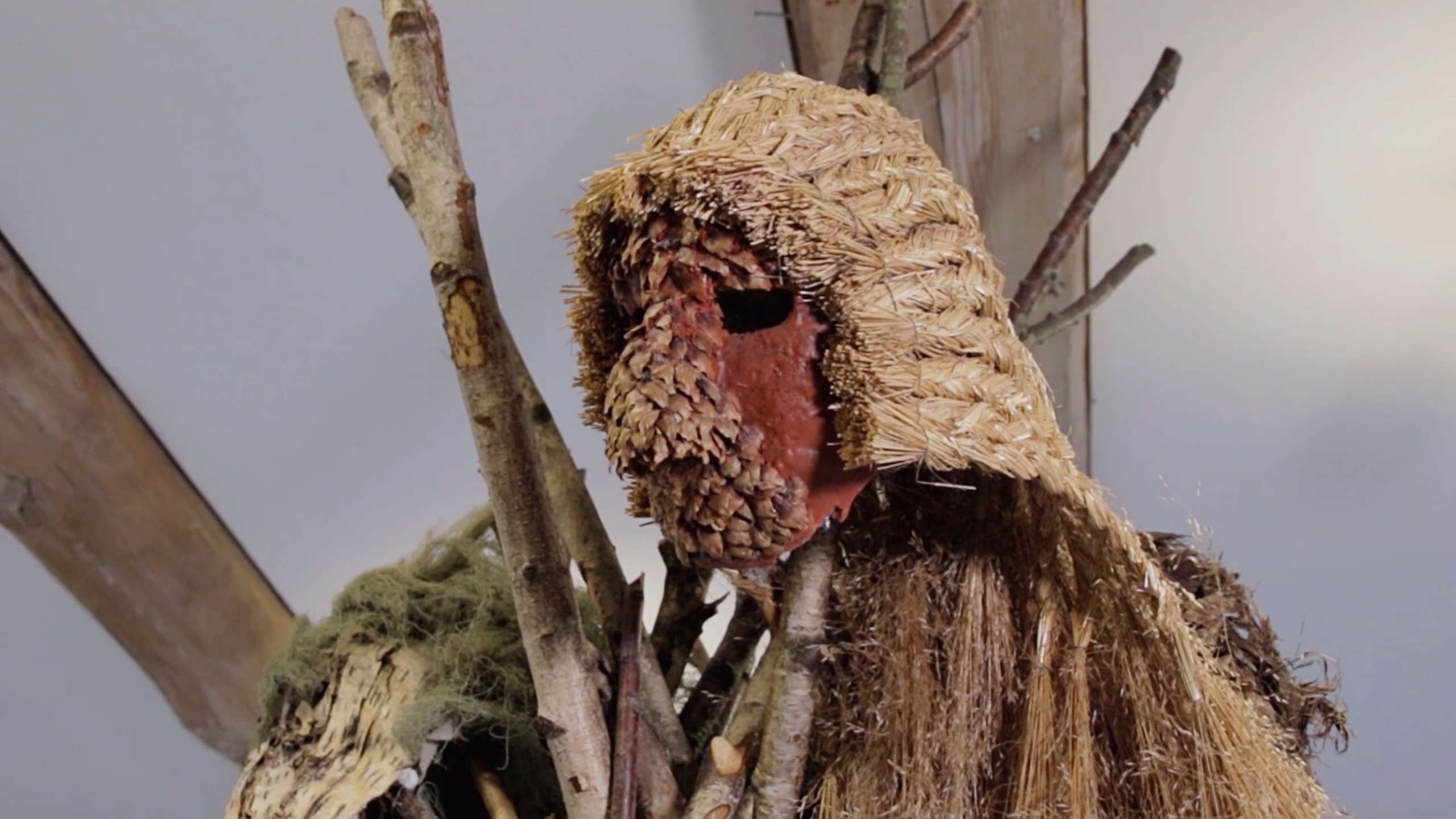 Anna Bak: Hermit