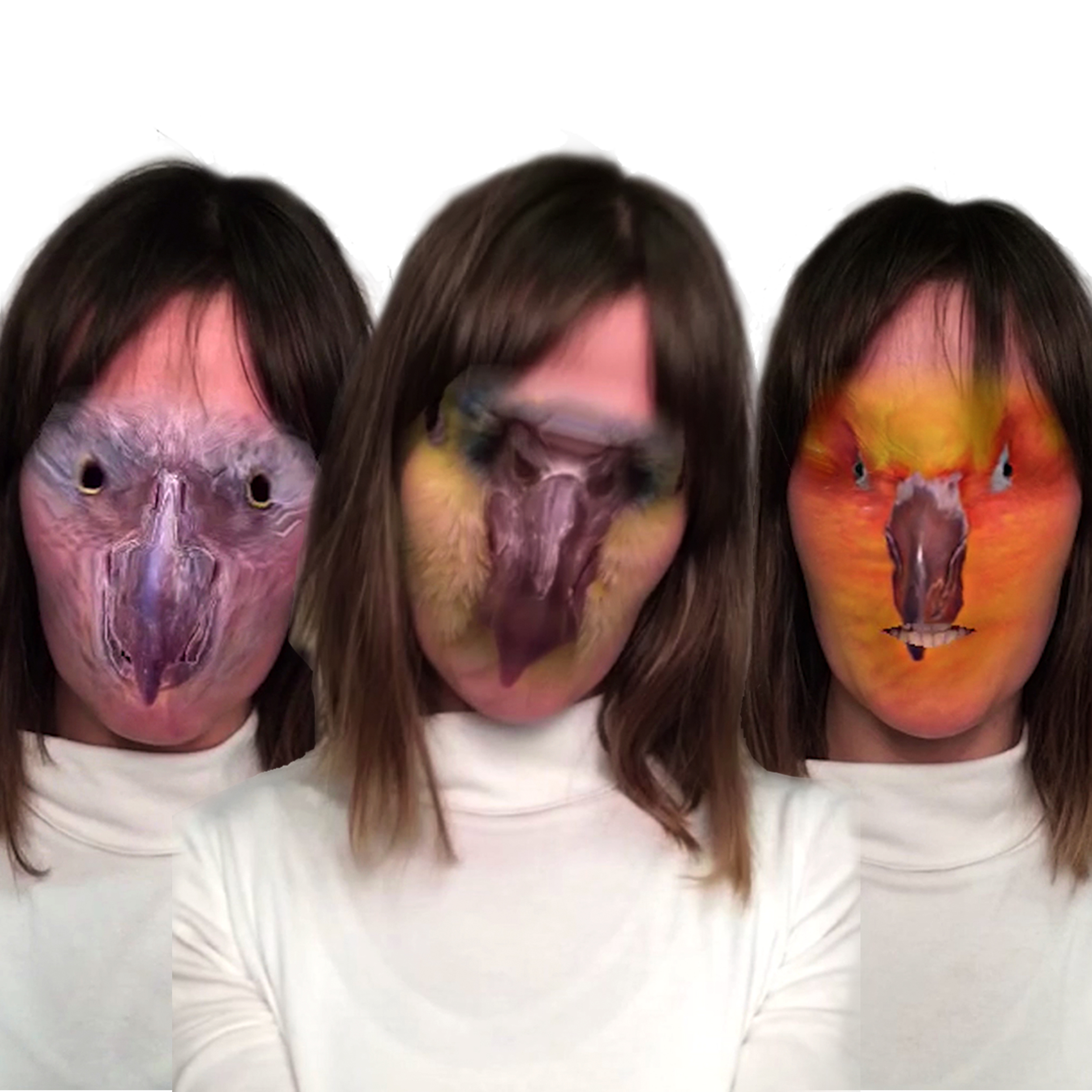 Eau Pernice: Bird Calls