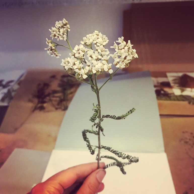 Gallery item