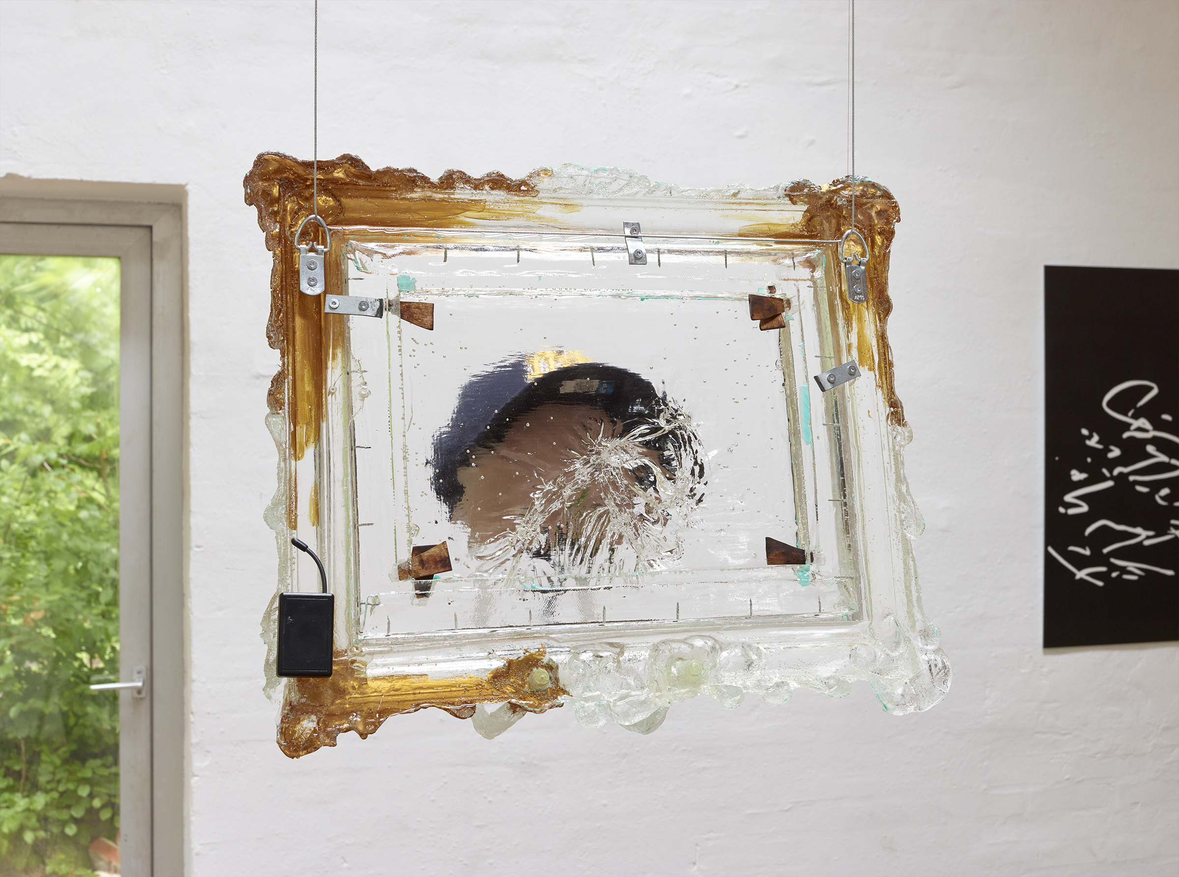 Rasmus Røhling: Leo at home admiring the brushwork a week before devoting himself to environmentalism