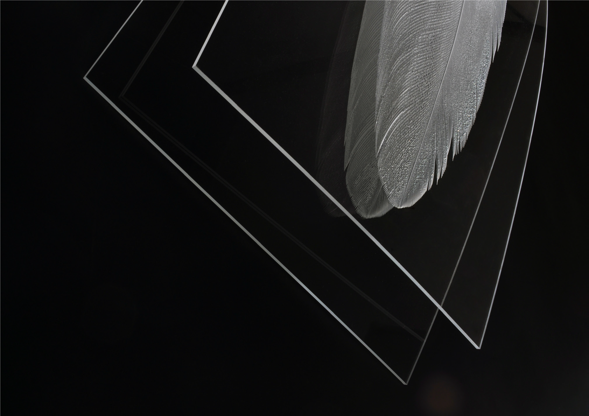 Johan Buskov Romme: Impossible Beauty