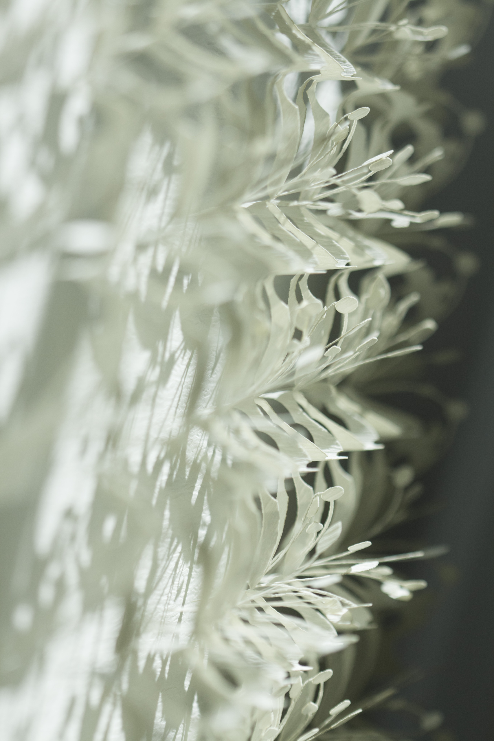 Amanda Betz: Closer to Nature