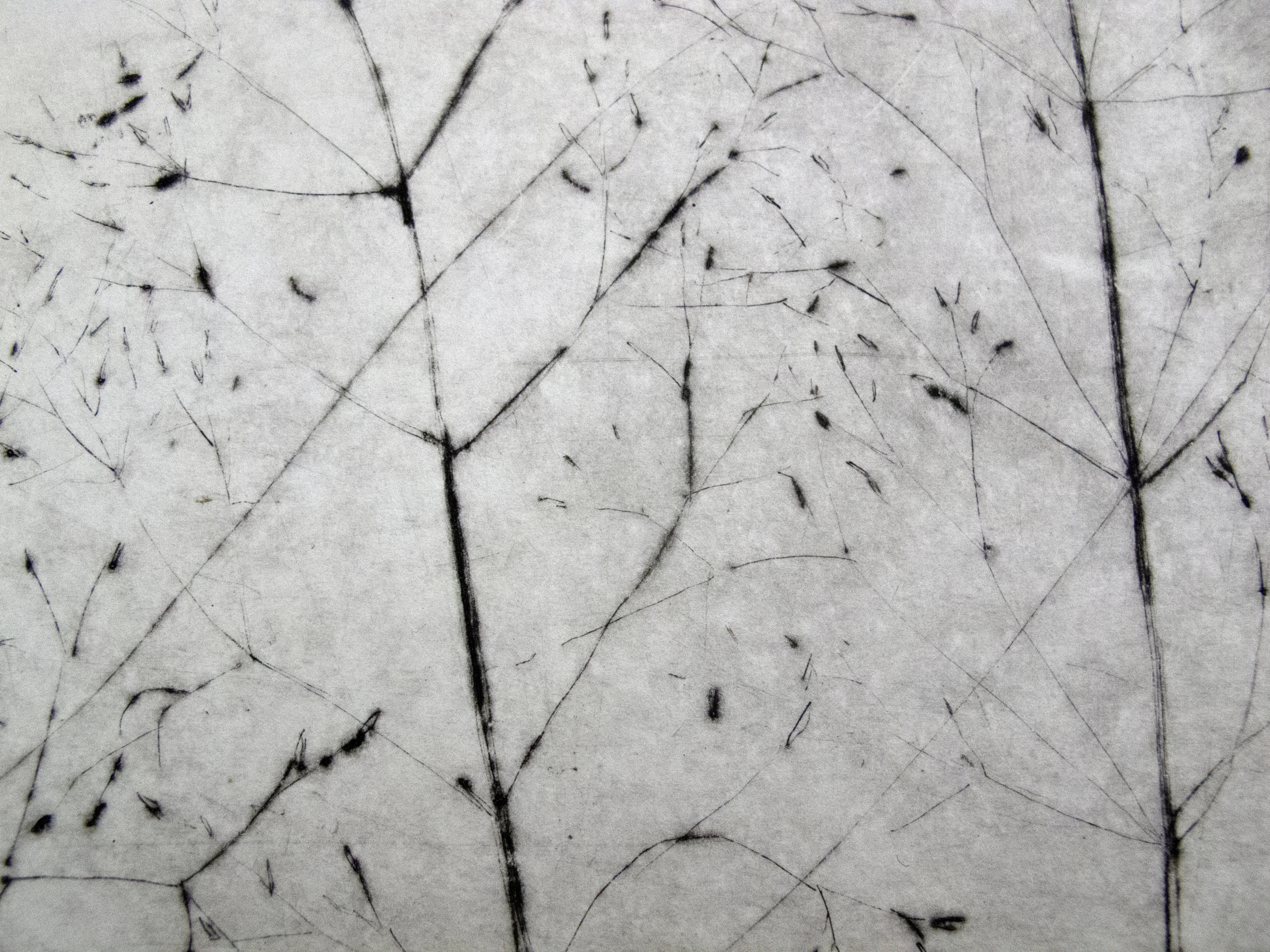 Birgitte Thorlacius: Flygtighed