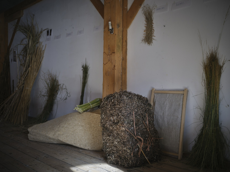 Gallery item