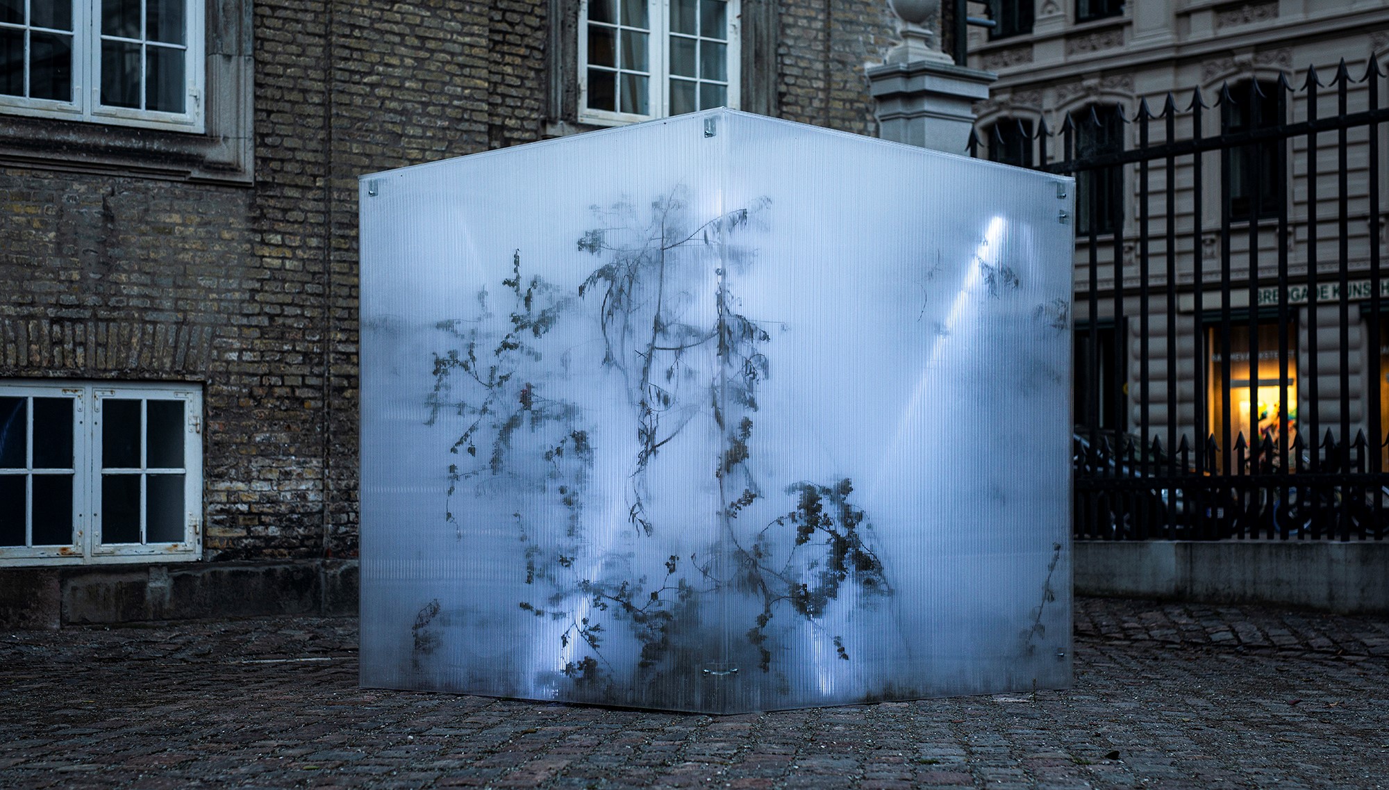 Mihkel Pajuste og Mariliis Kundla: Captured Evergreen