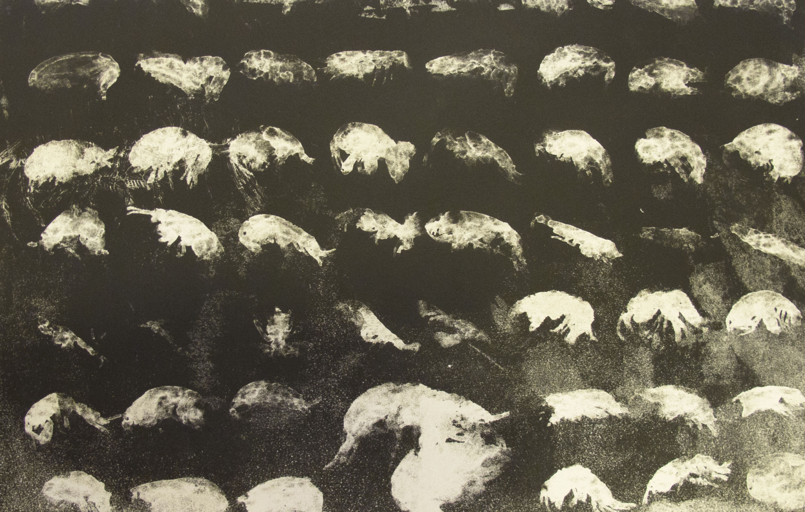 Anne Louise Blicher: Uncover