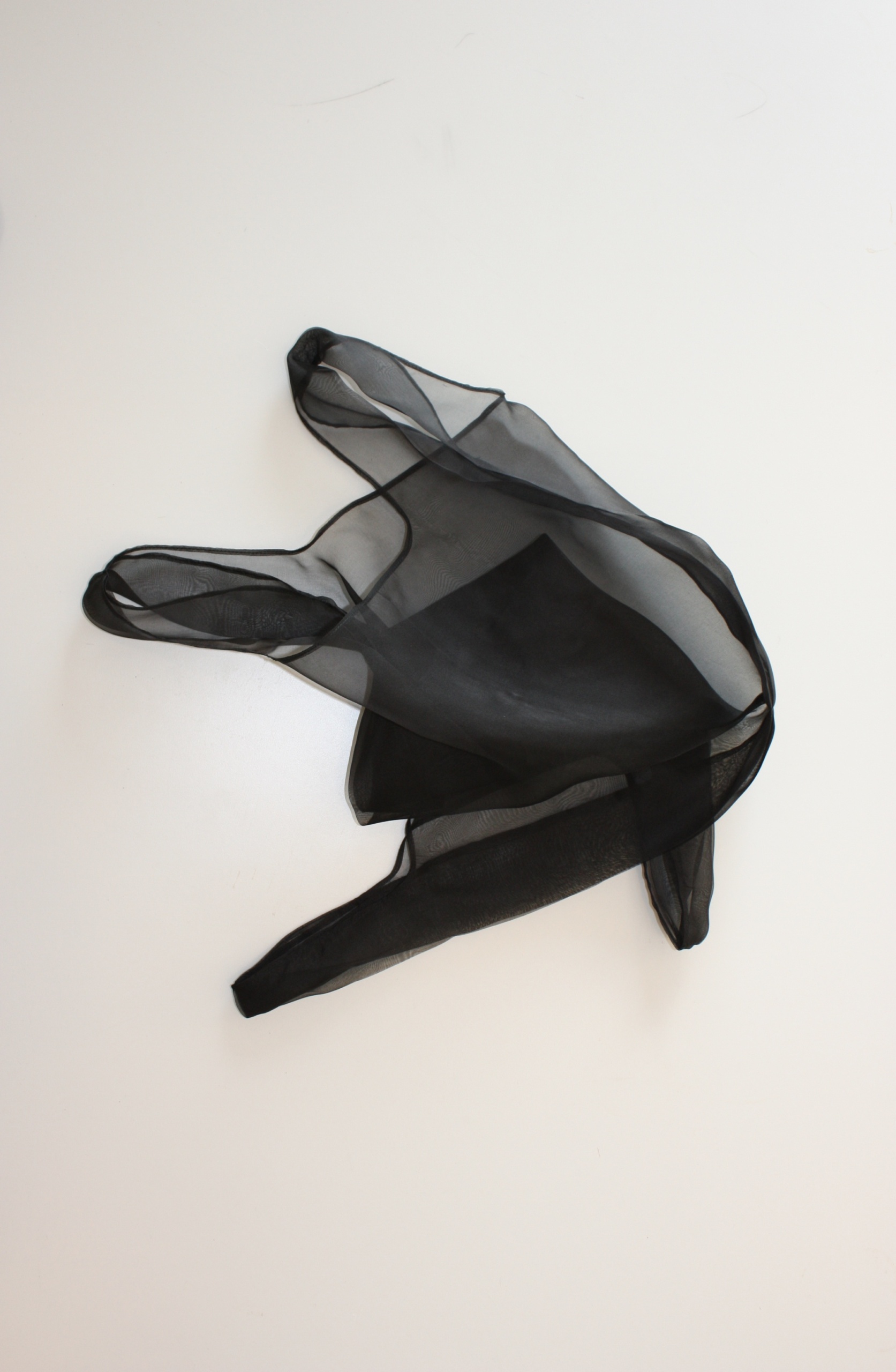 Ole Christian van Huizen: Blink and You’ll Miss it – Sculptures of Almost Nothing