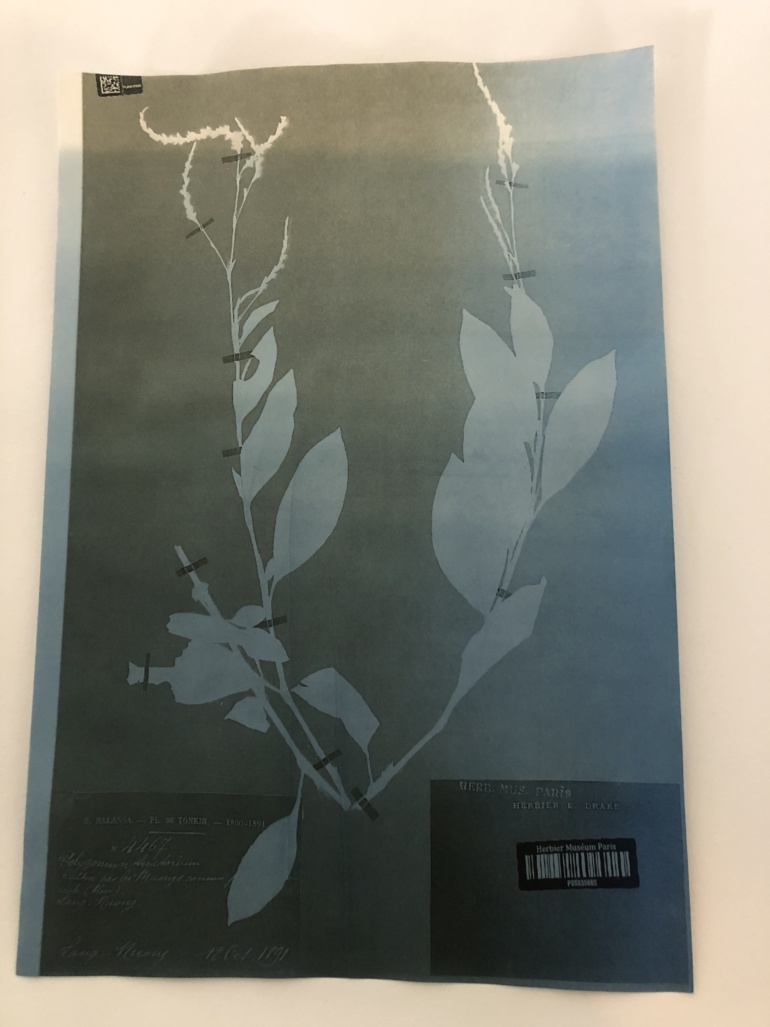 Gallery item