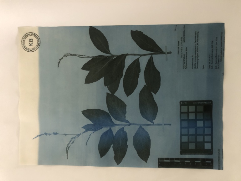 Gallery item
