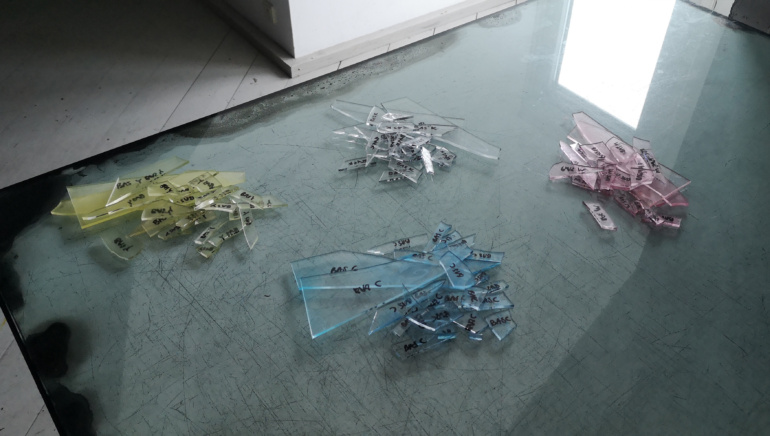 Gallery item