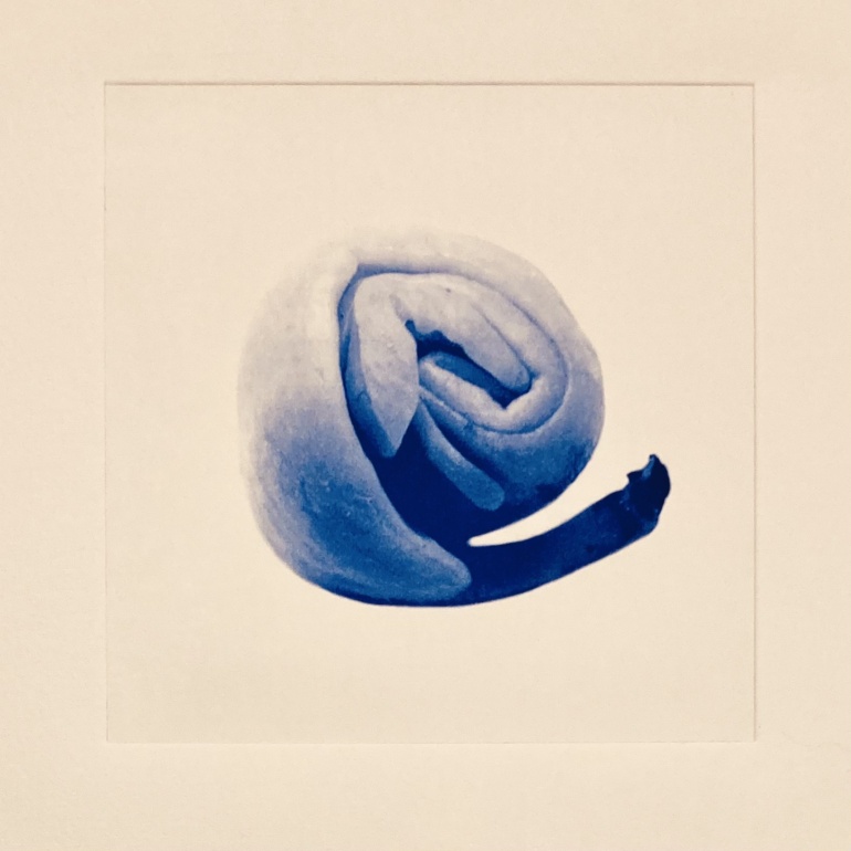 Gallery item