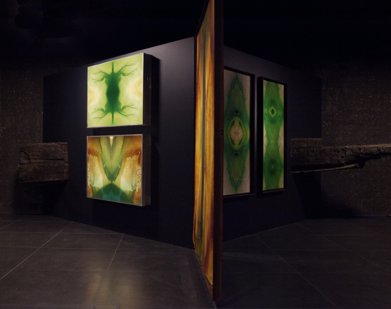 Gallery item