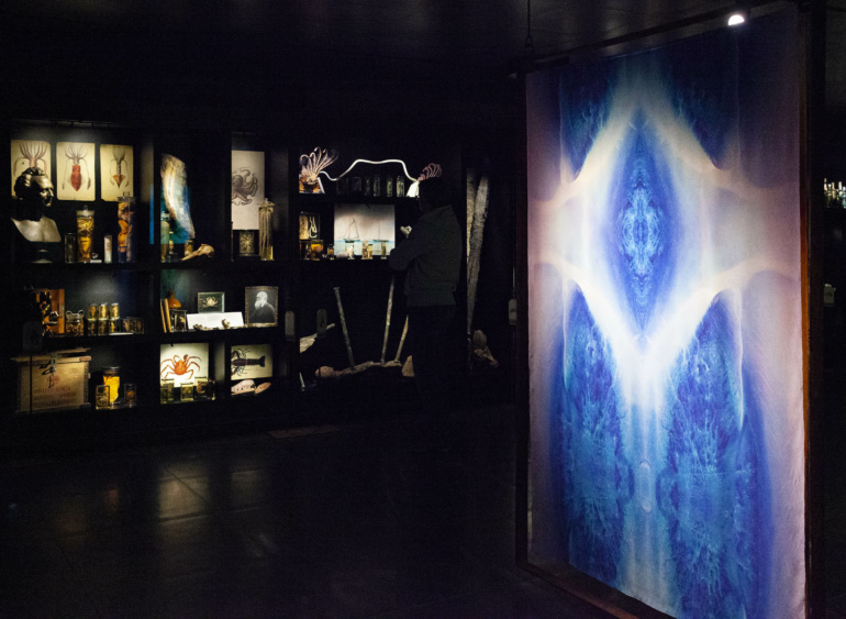 Gallery item