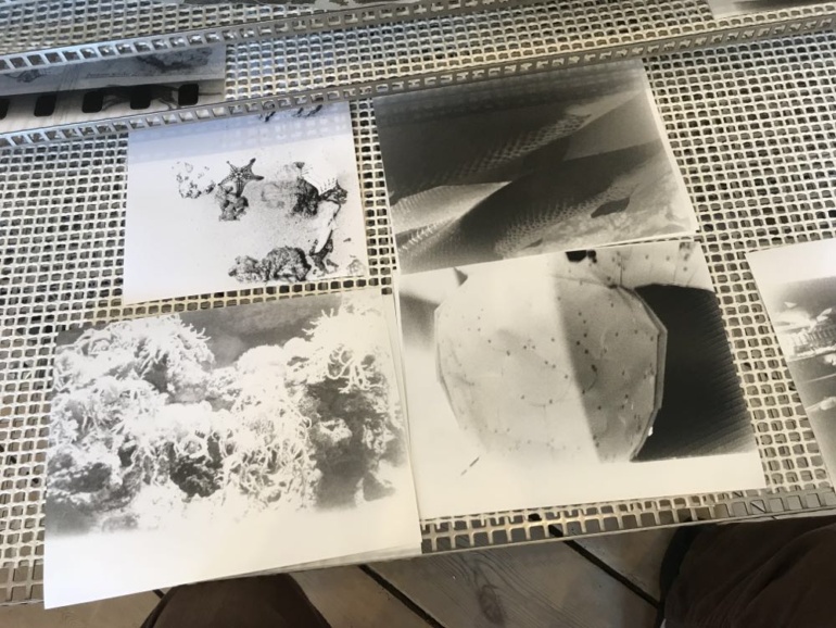 Gallery item
