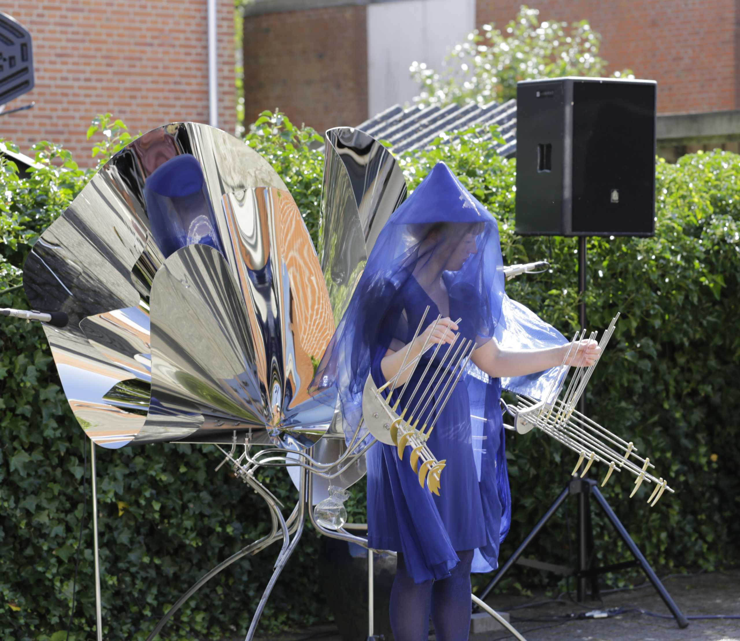 Barbara Amalie Skovmand Thomsen: Ctenophora