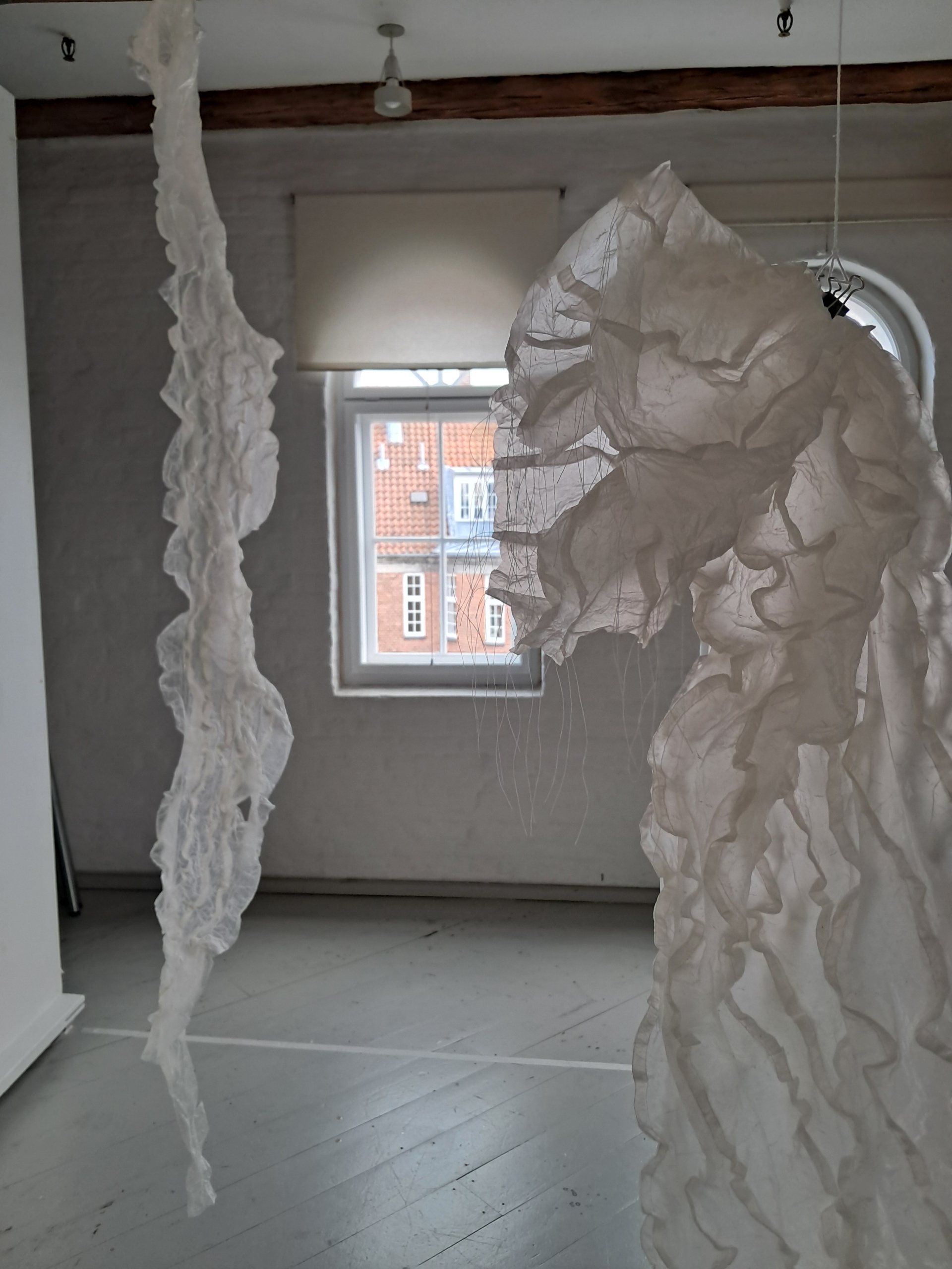 Julie Bach: Breathing Membranes – Gutskins Tradition & Innovation