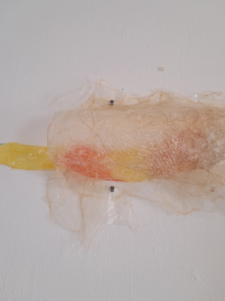 Gallery item