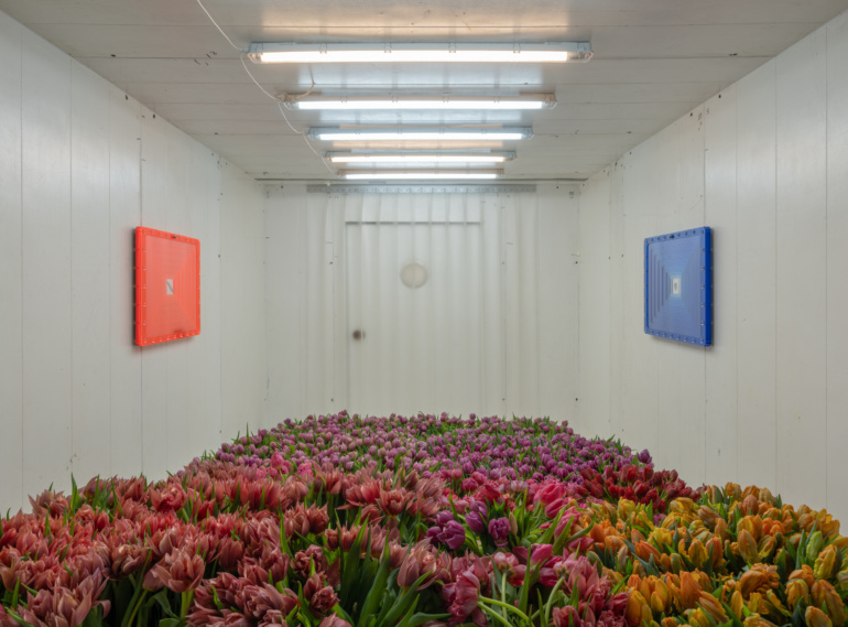 Gallery item
